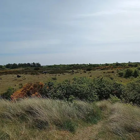 6 Person In Skjern-by Traum 펜션 Skjern